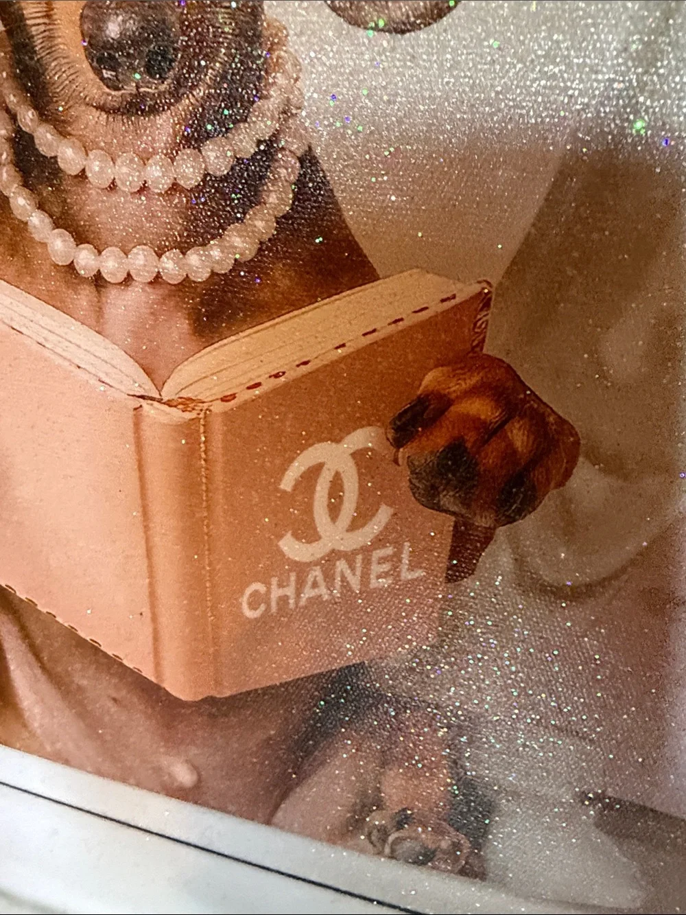 Design District Picture that Shows a Dog reading a Chanel book on the toilet